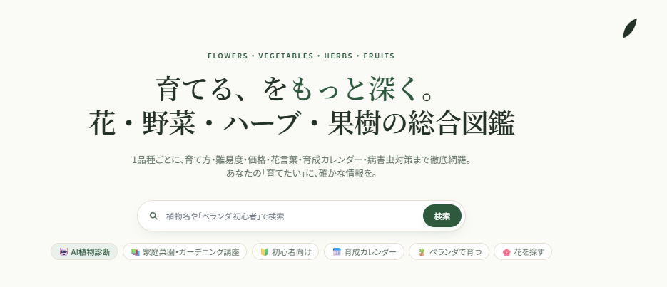 観葉植物をすぐ枯らす人へ｜初心者が失敗しない育て方の基本